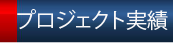 プロジェクト実績